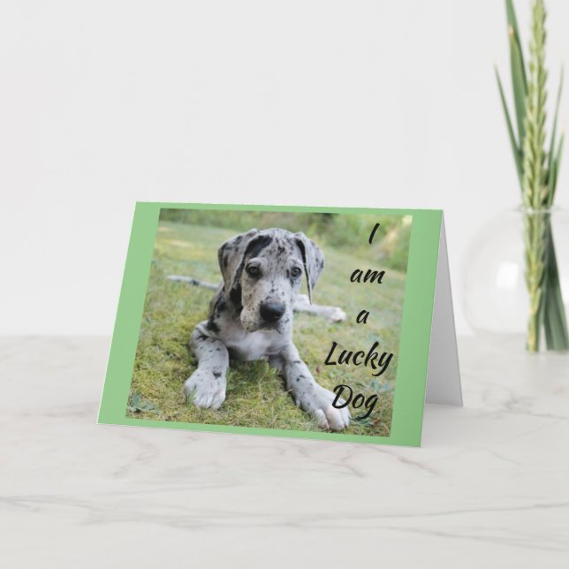 **LUCKY HUND LUCKY ME** DIG I MITT LIV BIRTHDAG KORT (Framsida)