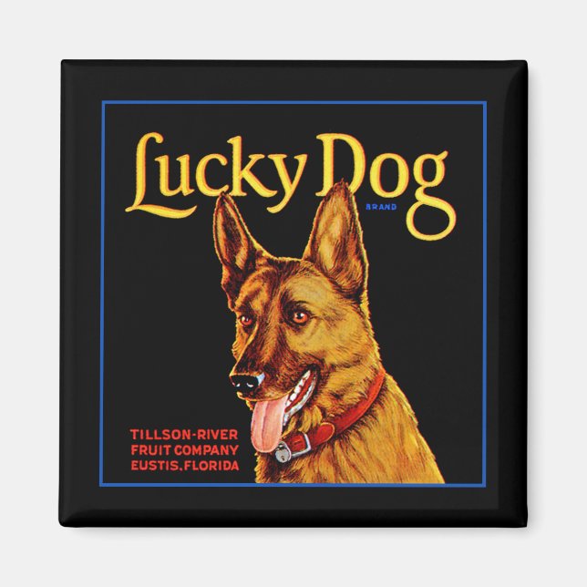 Lucky Hund Magnet (Framsidan)
