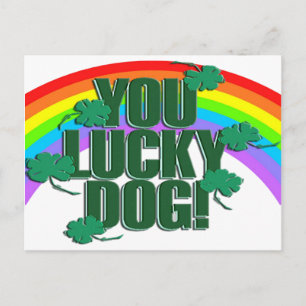 Lucky Hund och Rainbow St. Patrick's Day Vykort
