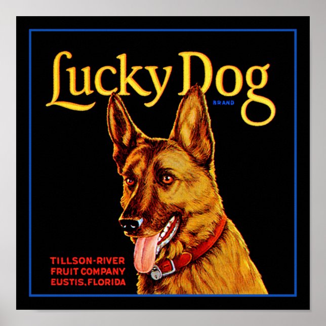Lucky Hund Poster (Framsidan)
