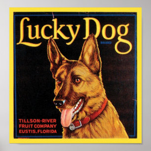 Lucky Hund Vintage Låda-etikett Poster