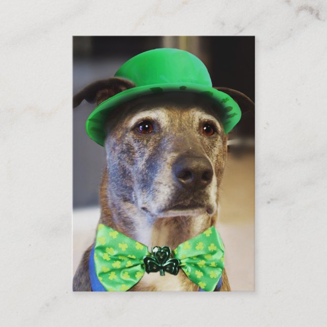 Lucky Hund Visitkort (Framsida)