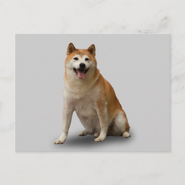 LUCKY HUND VYKORT (Framsida)