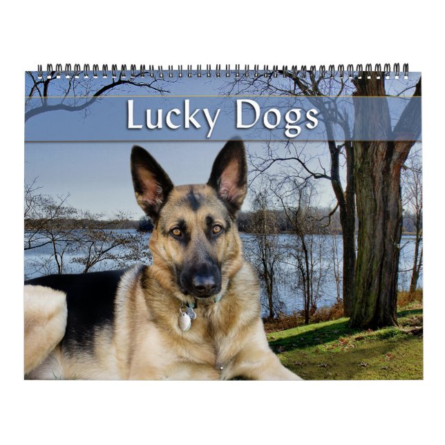 Lucky Hundar Calendar German Shepherd and More Kalender (Omslag)