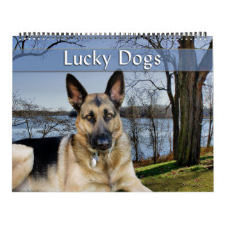 Lucky Hundar Calendar German Shepherd and More Kalender