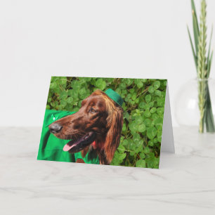 Lucky Irish Setter St. Patrick's Day Greeting Card Kort