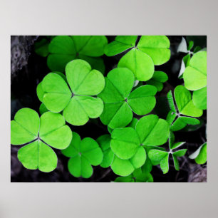 Lucky Klöver Poster