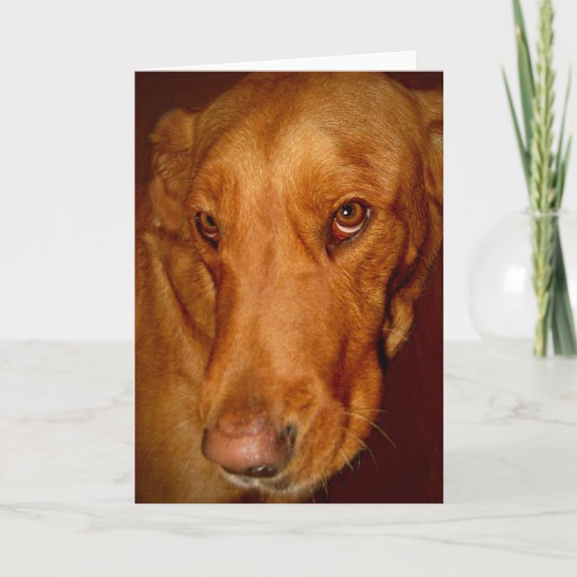 Lucky Kort (Framsida)