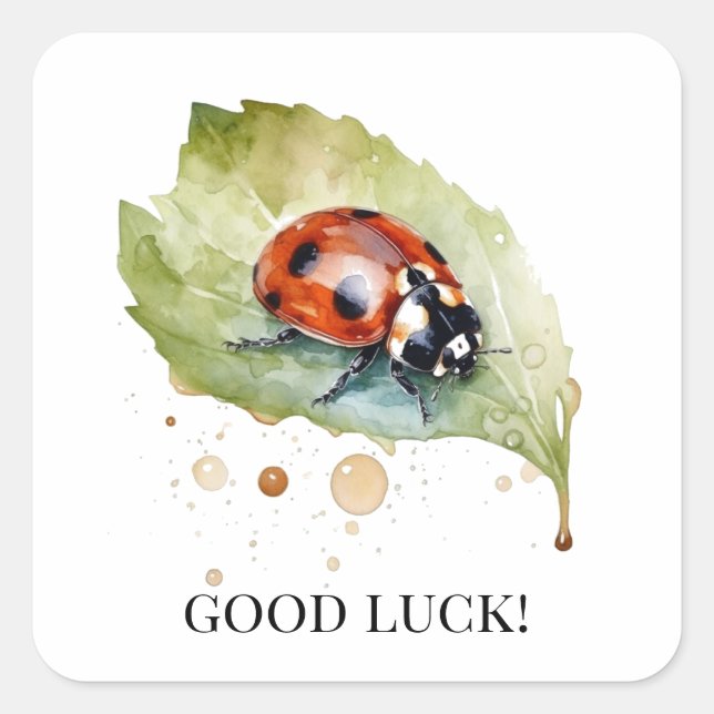 Lucky Ladybug på Löv Fyrkantigt Klistermärke (Framsida)