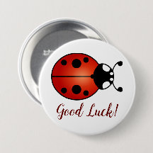 Lucky Ladybug Red Orange Black Ladybird Lycka till