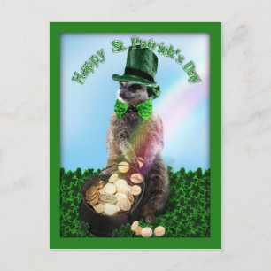 Lucky Meerkat med Guld St. Patrick's Day Vykort