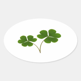 Lucky Ovalt Klistermärke