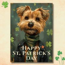 Lucky Shamrock Hund St. Patrick's Day