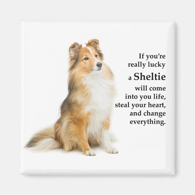 Lucky Sheltie Magnet (Framsidan)