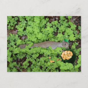 Lucky Squirrel i Klöver Vykort