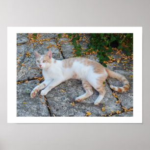 Lucky vaken poster