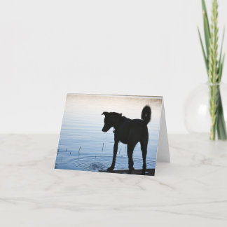 Lucky's Favorite Spot Note Card Kort