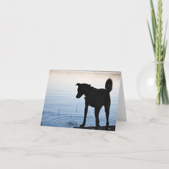 Lucky's Favorite Spot Note Card Kort (Framsida)