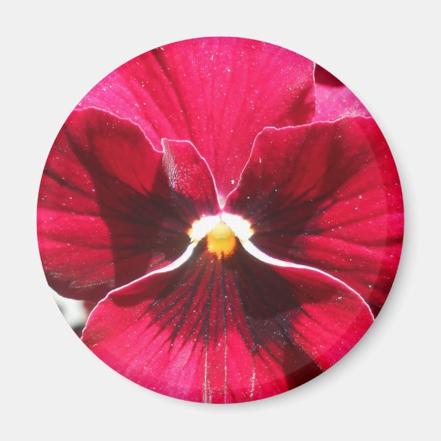 Lucrezia Magnet (Framsidan)