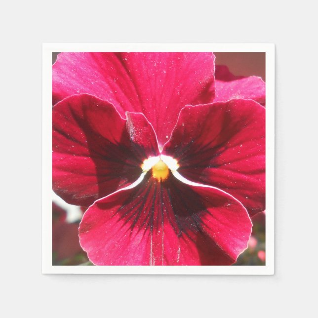 Lucrezia Pappersservett (Framsidan)