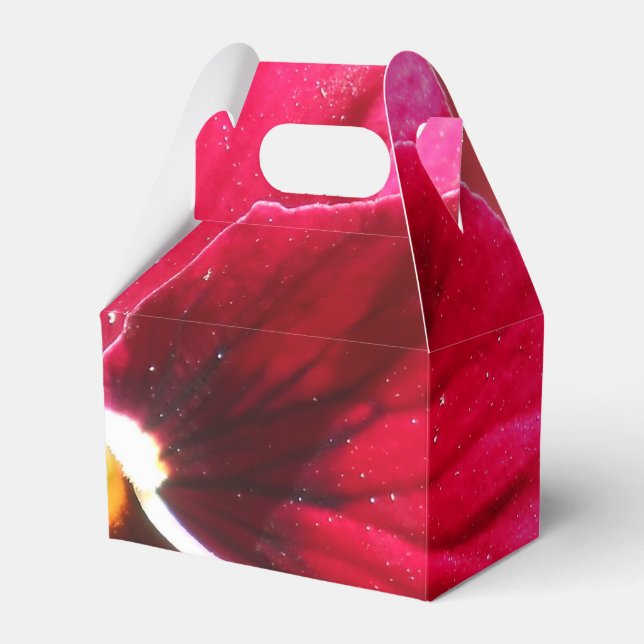 Lucrezia Presentaskar (Framsidan Sidan)