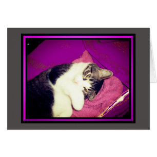Lucy Kattunge Note Cards OBS Kort