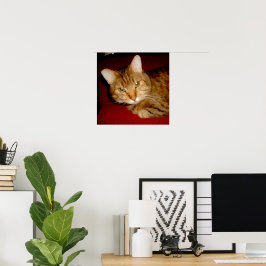 Lucy Kattunge Poster