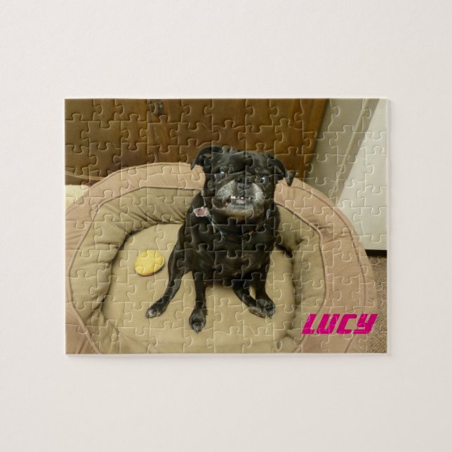 Lucy Pussel (Horisontell)