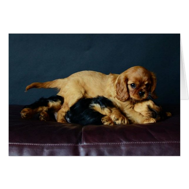 Lucy som slår upp henne brodern hälsningskort (Framsidan Horizontal)