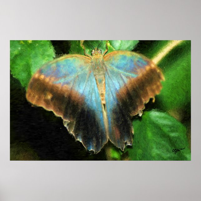 LUCY'S BUTTERFLY-UTSKRIFT POSTER (Framsidan)
