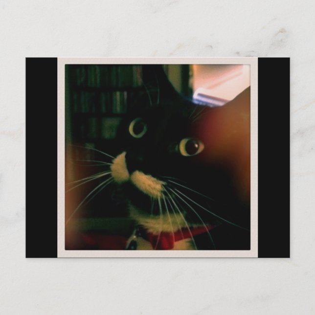 Lucy's Closeup Vykort (Framsida)