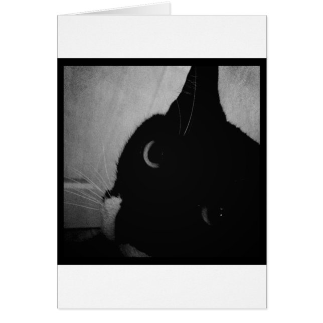 Lucy's Crazy Close-up Hälsningskort (Framsidan)