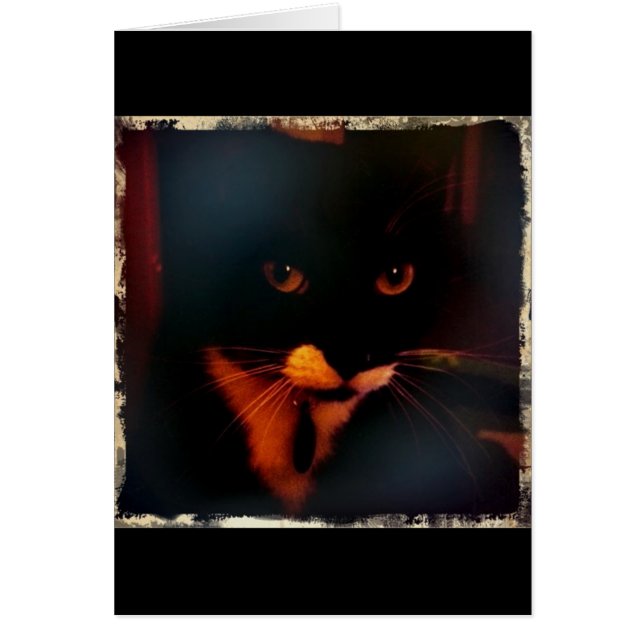 Lucy's Dramatic look Hälsningskort (Framsidan)