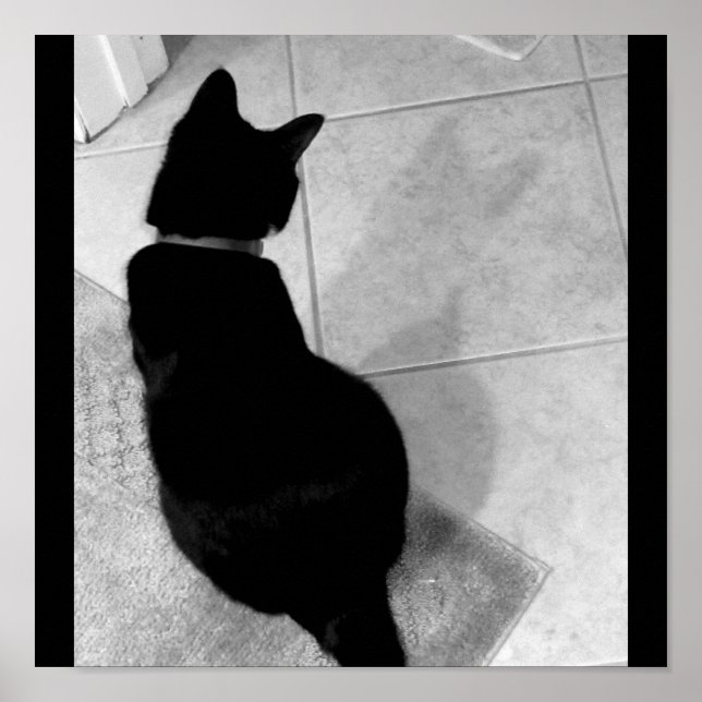 Lucy's Shadow B+W Poster (Framsidan)