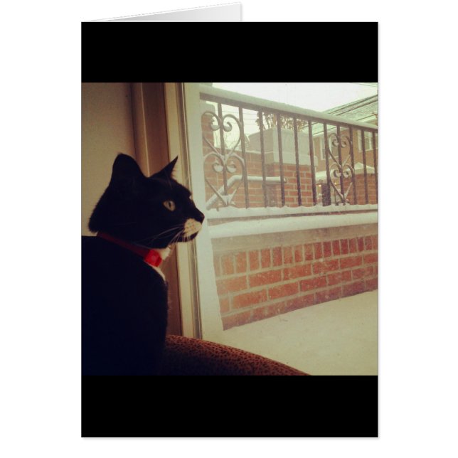 Lucy's Snö Day Hälsningskort (Framsidan)