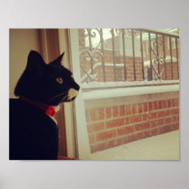 Lucy's Snö Day Poster