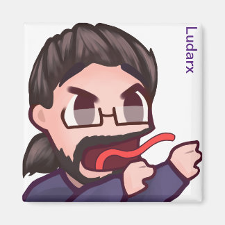 Ludarx | REN | Korrigeringsmagnet V2 Magnet