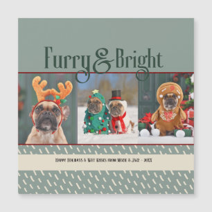 Ludd & glänsande hund jul foto högtidskort