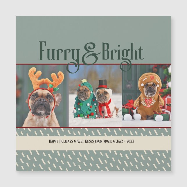 Ludd & glänsande hund jul foto högtidskort (Framsida)