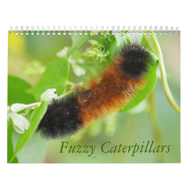 Luddig Caterpillarskalender Kalender (Omslag)