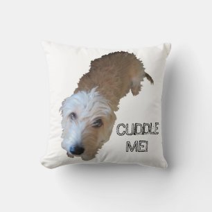 Luddig hund "KRAMA MIG!" Kudde
