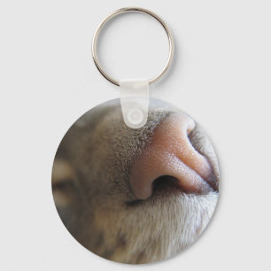 Luddig kattungenäsa nyckelring