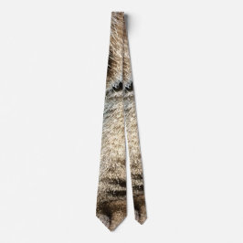 Luddiga randiga kattben och tassar - Rolig kattdes Slips