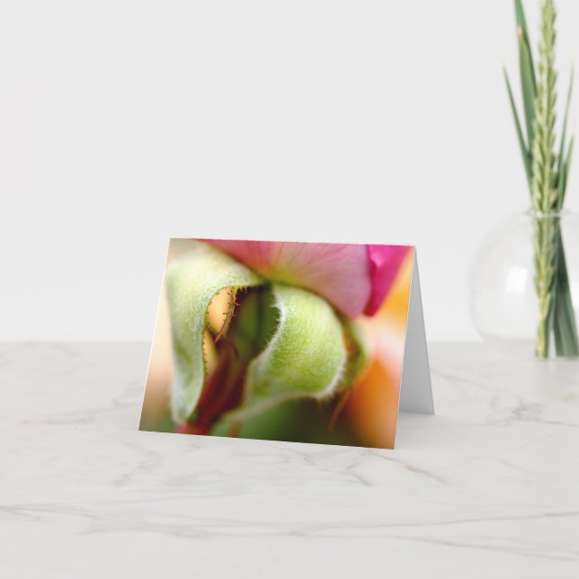 Luddigt Kort (Framsida)