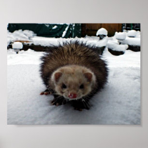 Luddigt underbaren poster