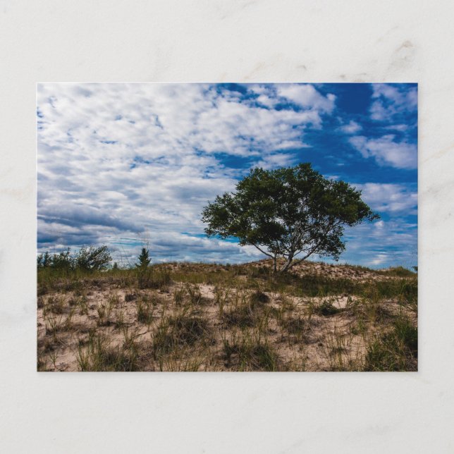 Ludington State Park, Michigan Vykort (Framsida)