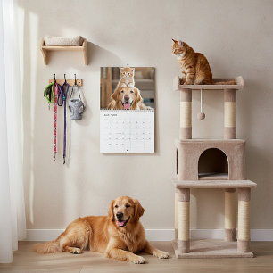 Ludna vänner kalender