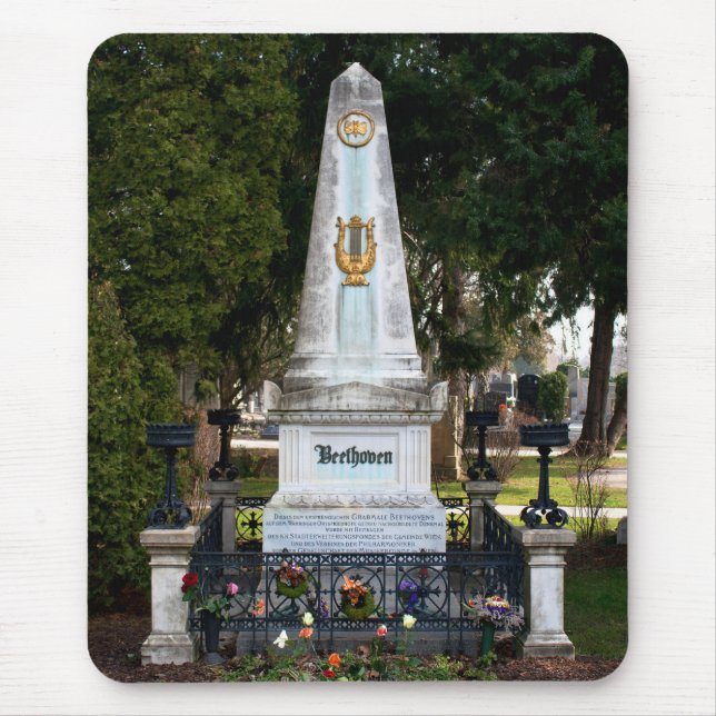 Ludwig Van Beethovens grav Musmatta (Framsidan)