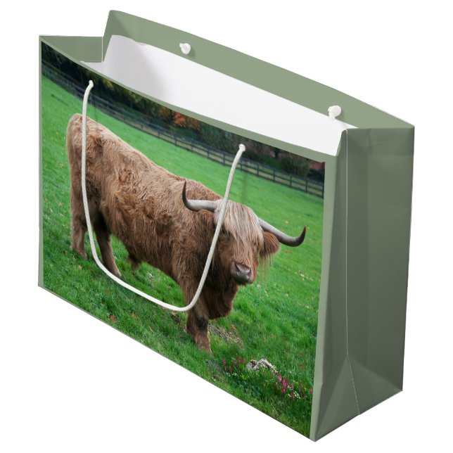 Luffarpresentförpackning (Framsidan Vinklad)