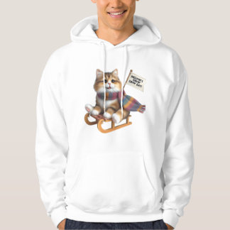 Luffig kattunge snö dag på släde, söt katt i halsd hoodie